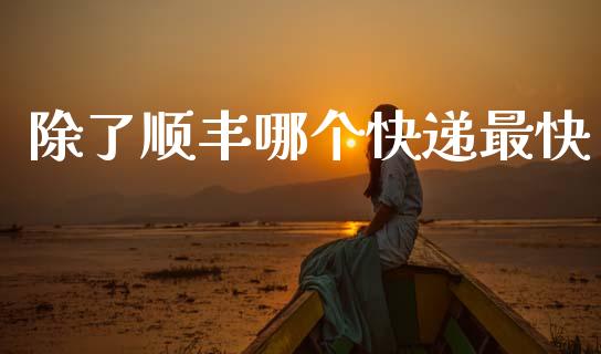 除了顺丰哪个快递最快_https://www.qdlswl.com_期货_第1张