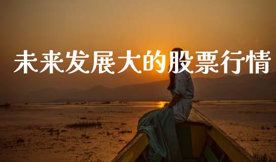 未来发展大的股票行情_https://www.qdlswl.com_内盘_第1张