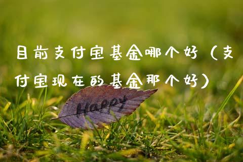 目前支付宝基金哪个好（支付宝现在的基金那个好）_https://www.qdlswl.com_理财_第1张