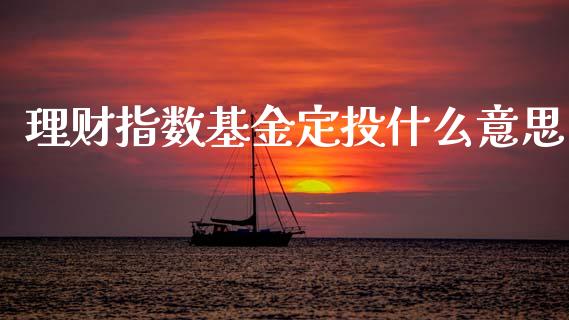 理财指数基金定投什么意思_https://www.qdlswl.com_基金_第1张
