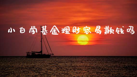 小白学基金理财容易歉钱吗_https://www.qdlswl.com_基金_第1张