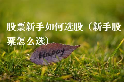 股票新手如何选股（新手股票怎么选）_https://www.qdlswl.com_股票_第1张
