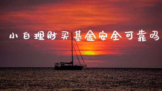 小白理财买基金安全可靠吗_https://www.qdlswl.com_基金_第1张