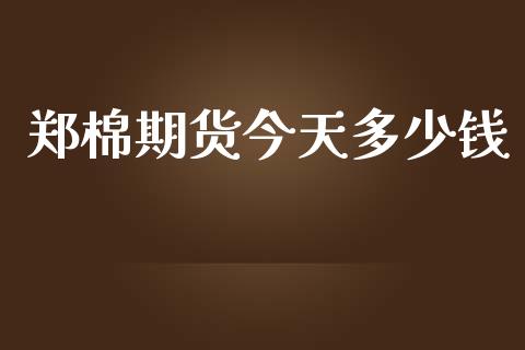 郑棉期货今天多少钱_https://www.qdlswl.com_股指_第1张