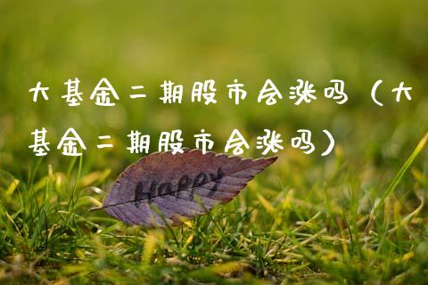 大基金二期股市会涨吗（大基金二期股市会涨吗）_https://www.qdlswl.com_基金_第1张