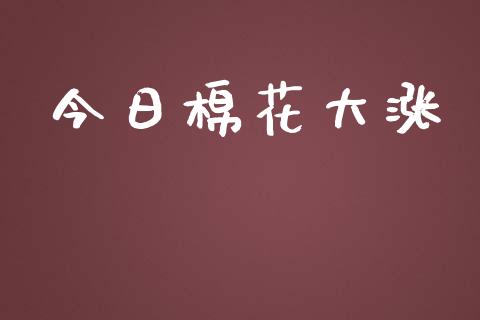 今日棉花大涨_https://www.qdlswl.com_股指_第1张