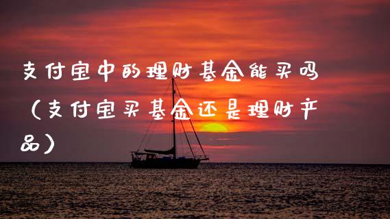 支付宝中的理财基金能买吗（支付宝买基金还是理财产品）_https://www.qdlswl.com_基金_第1张