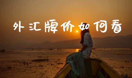 外汇牌价如何看_https://www.qdlswl.com_基金_第1张