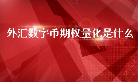 外汇数字币期权量化是什么_https://www.qdlswl.com_期货_第1张