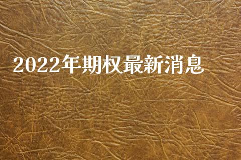 2022年期权最新消息_https://www.qdlswl.com_股指_第1张