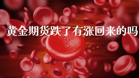 黄金期货跌了有涨回来的吗_https://www.qdlswl.com_股指_第1张