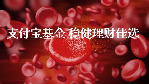 支付宝基金 稳健理财佳选_https://www.qdlswl.com_理财_第1张