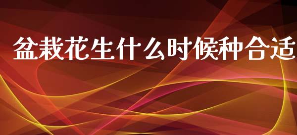 盆栽花生什么时候种合适_https://www.qdlswl.com_期货_第1张