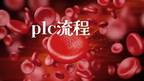 plc流程_https://www.qdlswl.com_股指_第1张