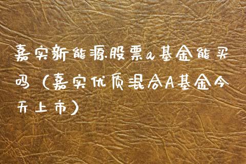 嘉实新能源股票a基金能买吗（嘉实优质混合A基金今天上市）_https://www.qdlswl.com_内盘_第1张