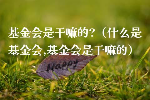 基金会是干嘛的?（什么是基金会,基金会是干嘛的）_https://www.qdlswl.com_基金_第1张