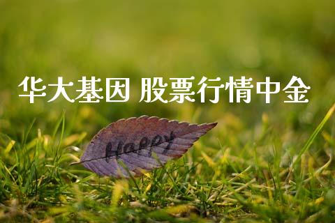 华大基因 股票行情中金_https://www.qdlswl.com_股票_第1张