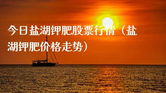 今日盐湖钾肥股票行情（盐湖钾肥价格走势）_https://www.qdlswl.com_外盘_第1张