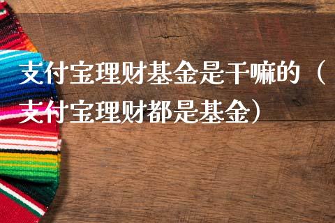 支付宝理财基金是干嘛的（支付宝理财都是基金）_https://www.qdlswl.com_基金_第1张