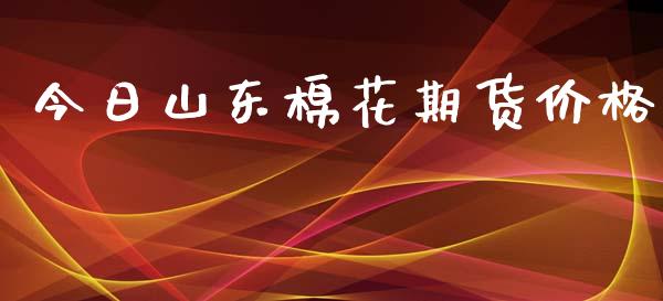 今日山东棉花期货价格_https://www.qdlswl.com_期货_第1张