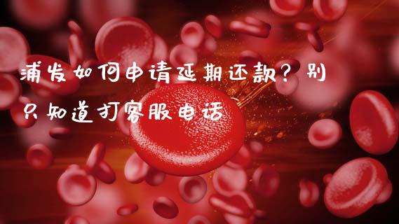 浦发如何申请延期还款？别只知道打客服电话_https://www.qdlswl.com_外盘_第1张