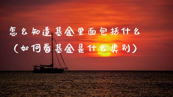 怎么知道基金里面包括什么（如何看基金是什么类别）_https://www.qdlswl.com_基金_第1张