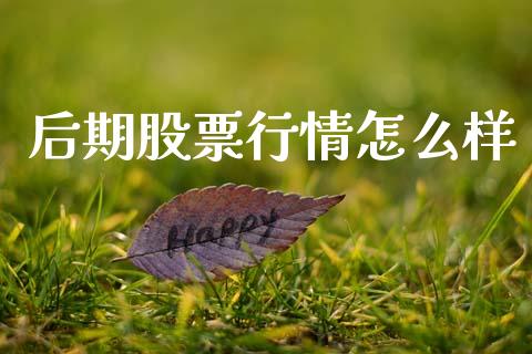 后期股票行情怎么样_https://www.qdlswl.com_股票_第1张