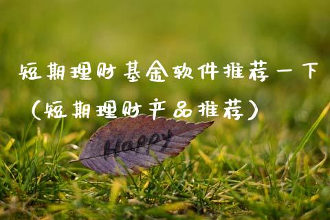 短期理财基金软件推荐一下（短期理财产品推荐）_https://www.qdlswl.com_基金_第1张