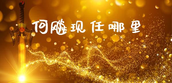 何飚现任哪里_https://www.qdlswl.com_直播_第1张