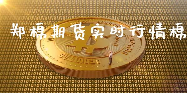 郑棉期货实时行情棉_https://www.qdlswl.com_直播_第1张