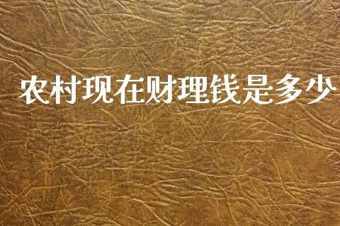 农村现在财理钱是多少_https://www.qdlswl.com_理财_第1张