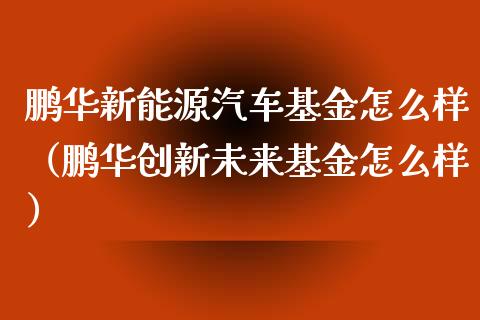 鹏华新能源汽车基金怎么样（鹏华创新未来基金怎么样）_https://www.qdlswl.com_理财_第1张