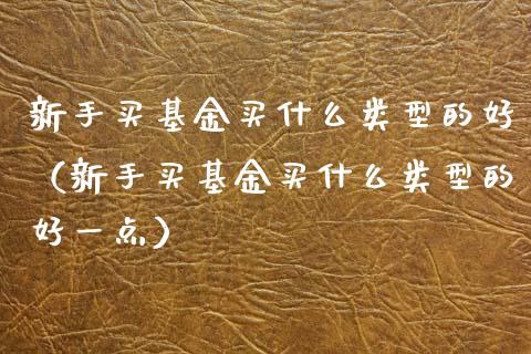 新手买基金买什么类型的好（新手买基金买什么类型的好一点）_https://www.qdlswl.com_基金_第1张