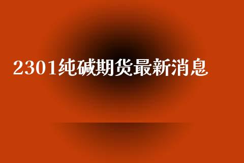 2301纯碱期货最新消息_https://www.qdlswl.com_股指_第1张