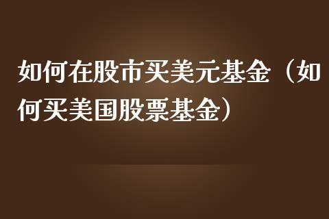 如何在股市买美元基金（如何买美国股票基金）_https://www.qdlswl.com_基金_第1张