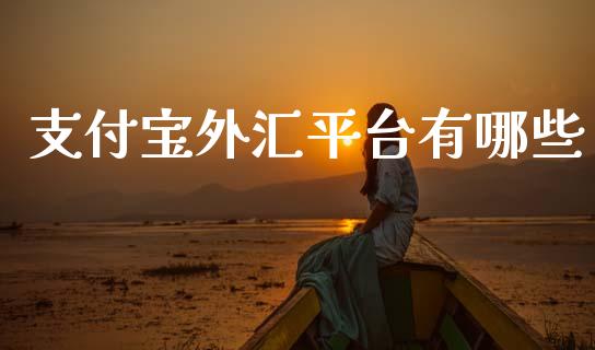 支付宝外汇平台有哪些_https://www.qdlswl.com_直播_第1张