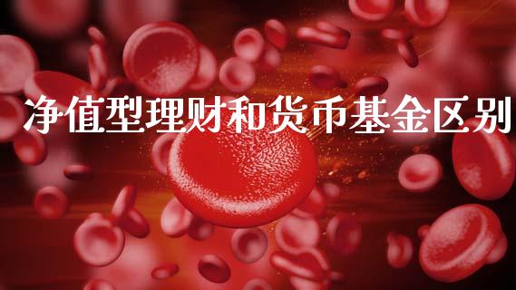 净值型理财和货币基金区别_https://www.qdlswl.com_理财_第1张