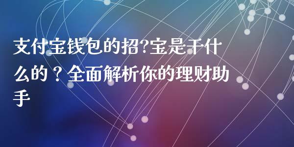 支付宝钱包的招?宝是干什么的？全面解析你的理财助手_https://www.qdlswl.com_基金_第1张