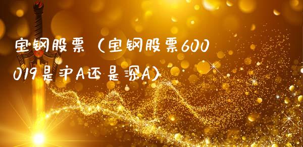 宝钢股票（宝钢股票600019是沪A还是深A）_https://www.qdlswl.com_股票_第1张