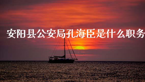 安阳县公安局孔海臣是什么职务_https://www.qdlswl.com_内盘_第1张