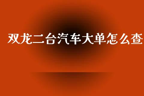 双龙二台汽车大单怎么查_https://www.qdlswl.com_基金_第1张