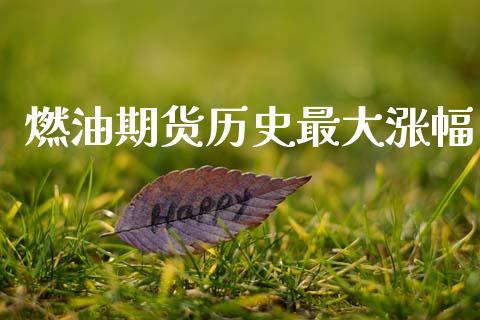 燃油期货历史最大涨幅_https://www.qdlswl.com_股指_第1张