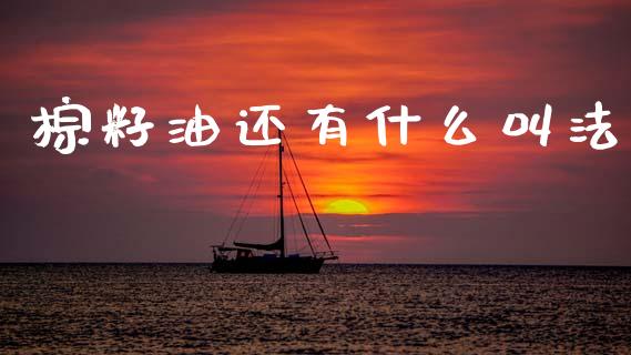 棕籽油还有什么叫法_https://www.qdlswl.com_股指_第1张