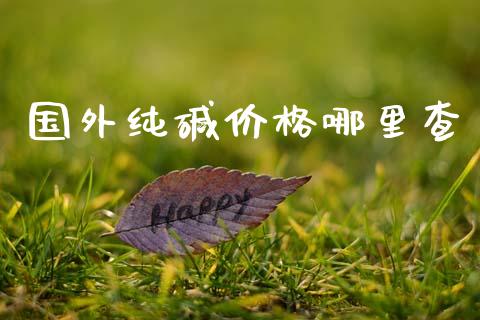国外纯碱价格哪里查_https://www.qdlswl.com_股指_第1张