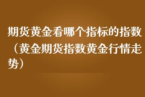 期货黄金看哪个指标的指数（黄金期货指数黄金行情走势）_https://www.qdlswl.com_股指_第1张