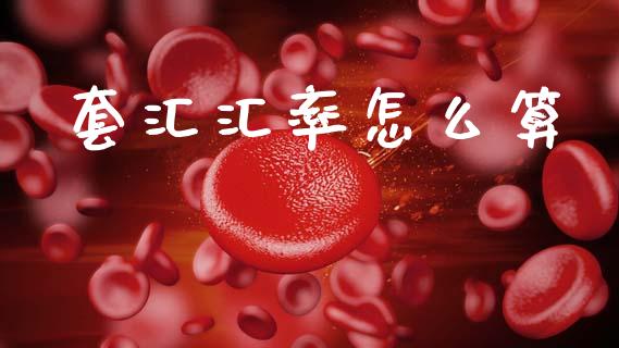 套汇汇率怎么算_https://www.qdlswl.com_股指_第1张