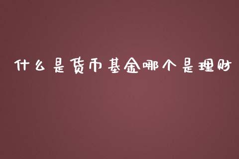 什么是货币基金哪个是理财_https://www.qdlswl.com_基金_第1张