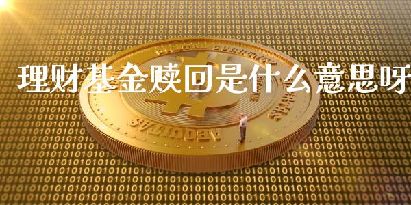 理财基金赎回是什么意思呀_https://www.qdlswl.com_基金_第1张