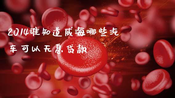 2014谁知道威海哪些汽车可以无息贷款_https://www.qdlswl.com_直播_第1张