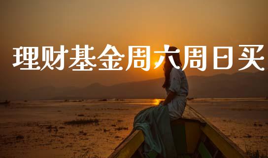 理财基金周六周日买_https://www.qdlswl.com_理财_第1张